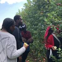 Conversations_during_picking